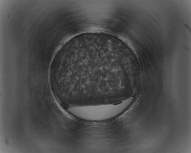 X0000097511429200803201605