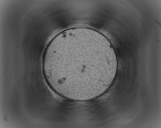 X0000097511430200803201605
