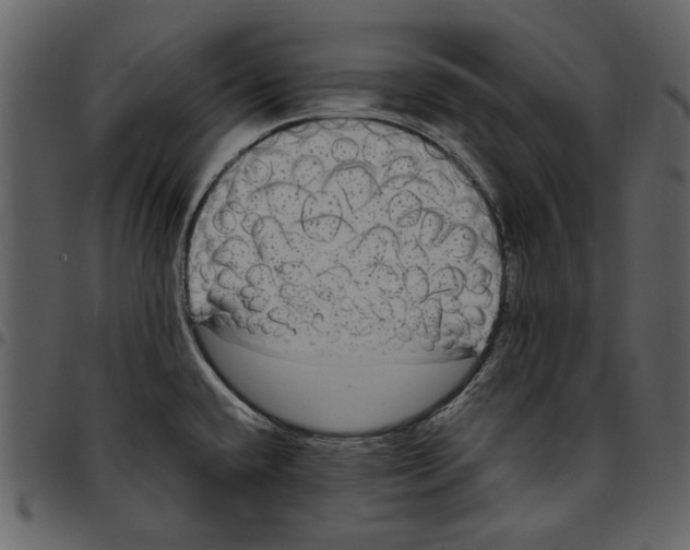 X0000097511432200803201605