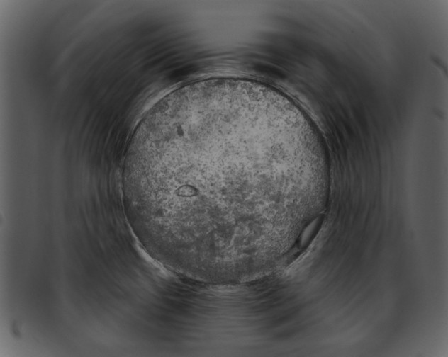 X0000097511433200803201605