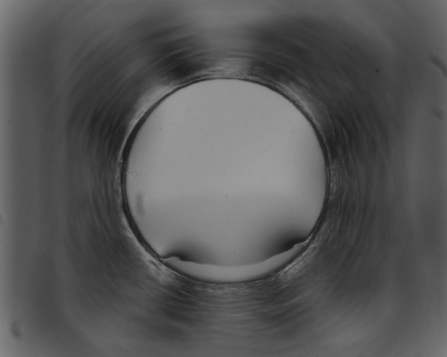 X0000097511434200803201605