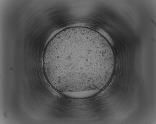 X0000097511436200803201605