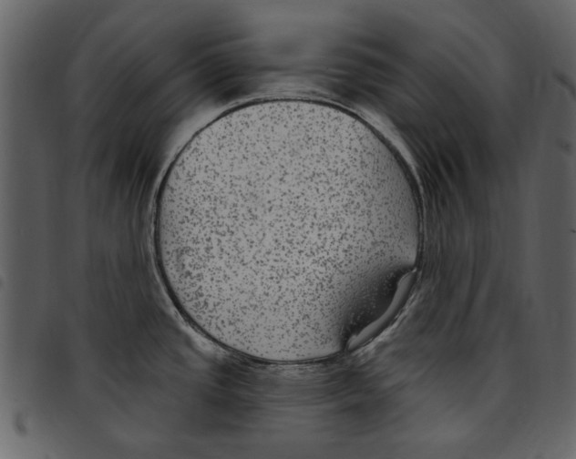 X0000097511437200803201605