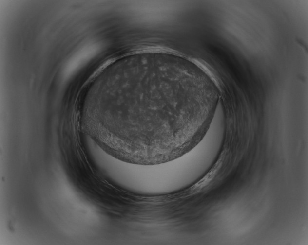 X0000097511438200803201605