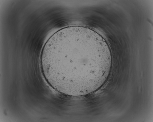 X0000097511440200803201605