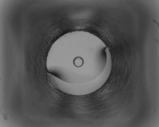 X0000097511441200803201605