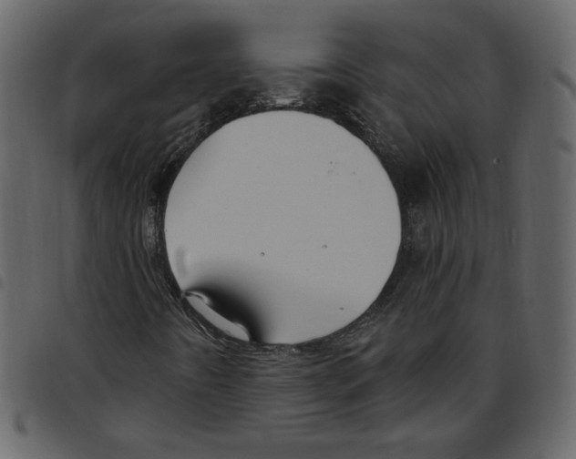 X0000097511442200803201605
