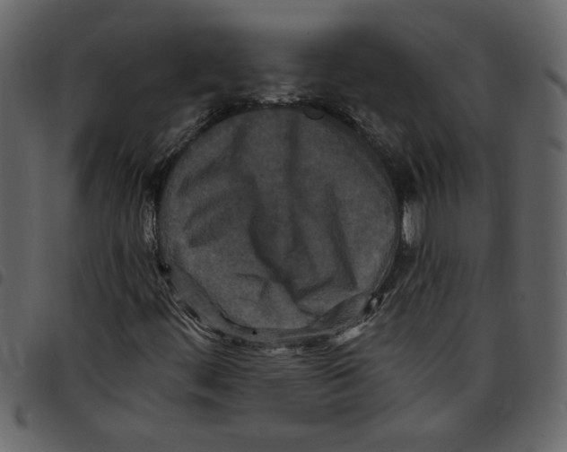 X0000097511444200803201604