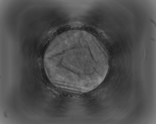 X0000097511445200803201604