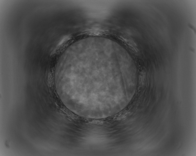 X0000097511446200803201604