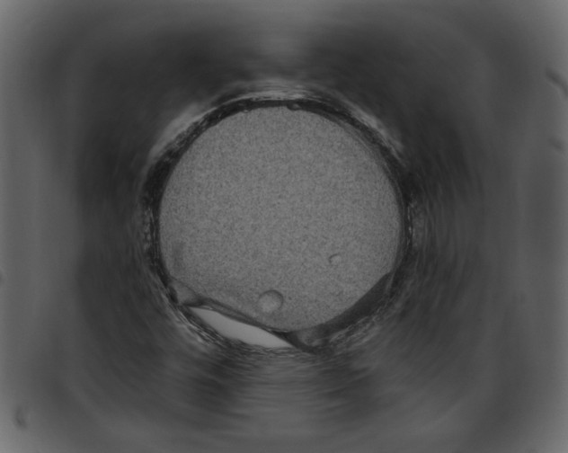 X0000097511448200803201604