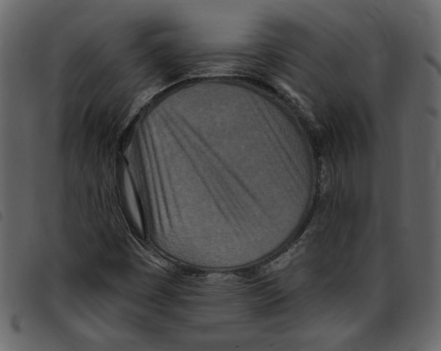 X0000097511449200803201604