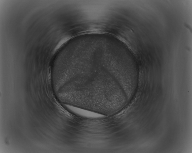 X0000097511450200803201604