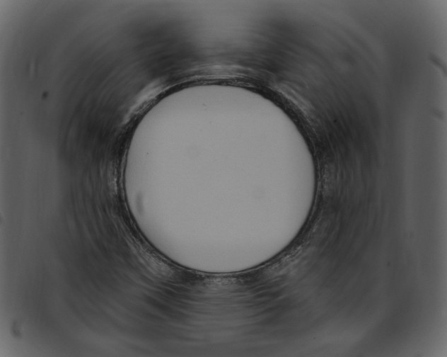 X0000097511451200803201604