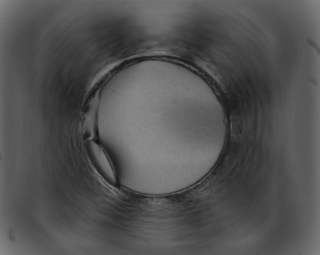 X0000097511452200803201604