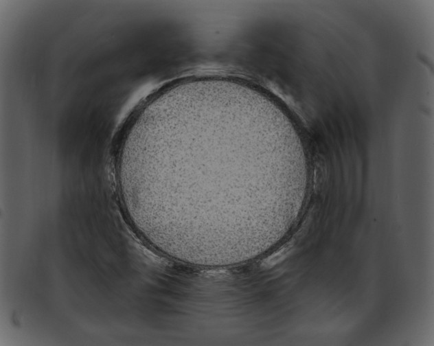 X0000097511454200803201604