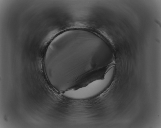 X0000097511455200803201604
