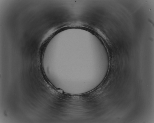 X0000097511456200803201604