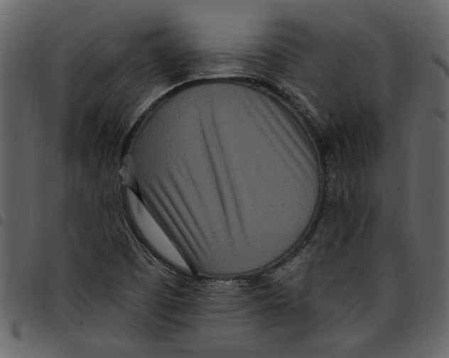 X0000097511457200803201604