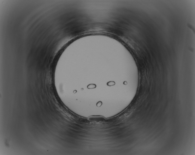 X0000097511458200803201604