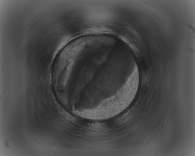 X0000097511459200803201604