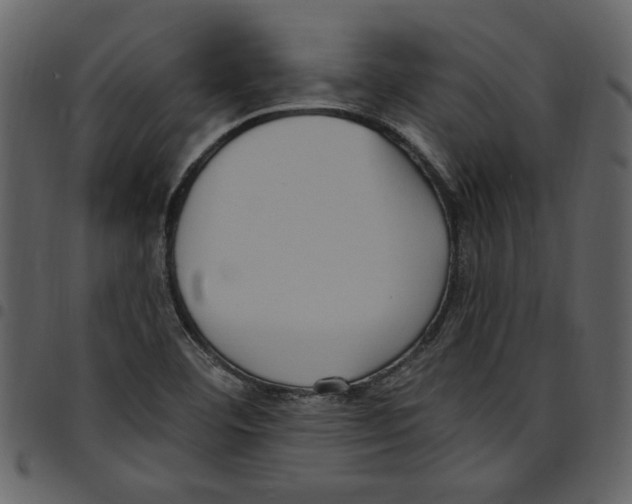 X0000097511460200803201604