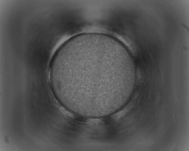 X0000097511462200803201604