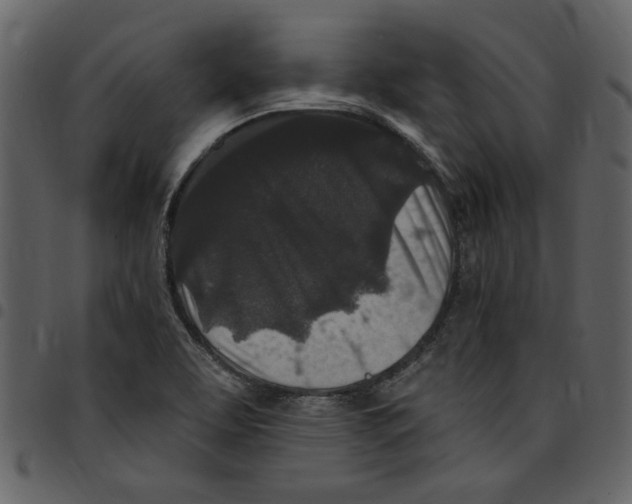 X0000097511463200803201604