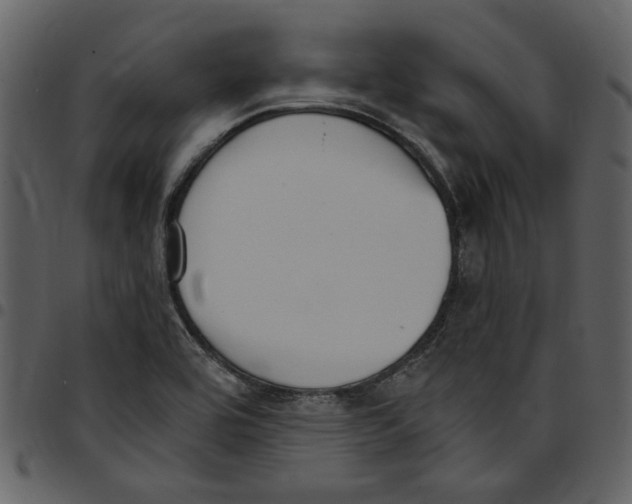 X0000097511464200803201604