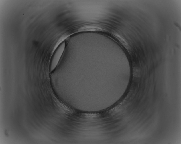 X0000097511465200803201604