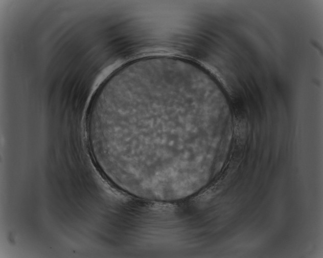 X0000097511466200803201604