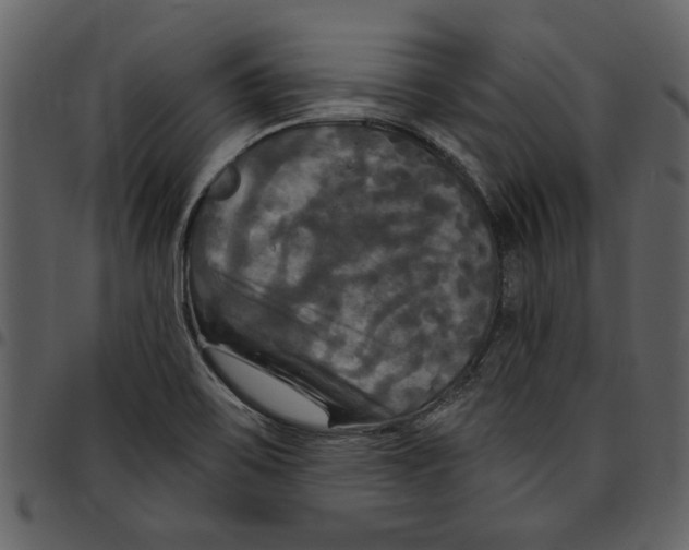 X0000097511467200803201604