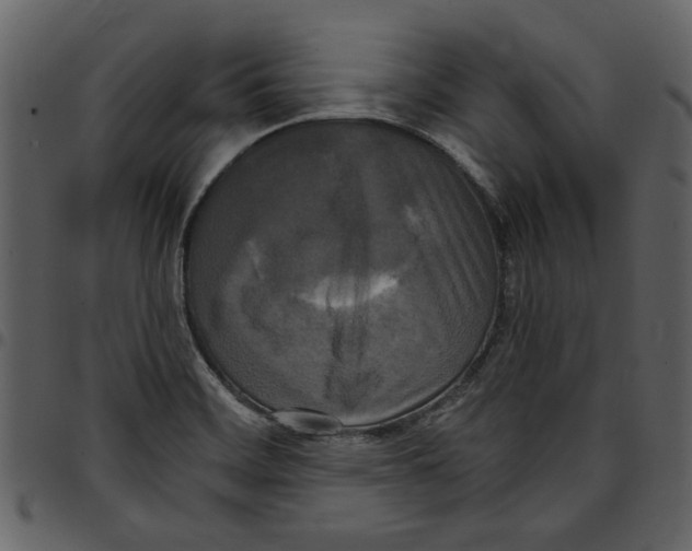 X0000097511468200803201604