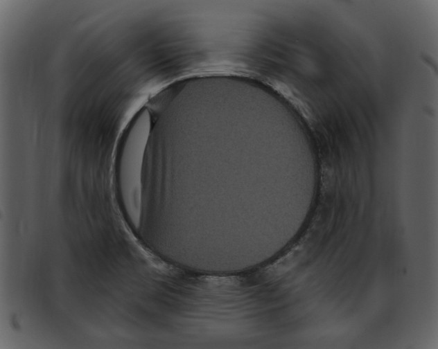 X0000097511469200803201604