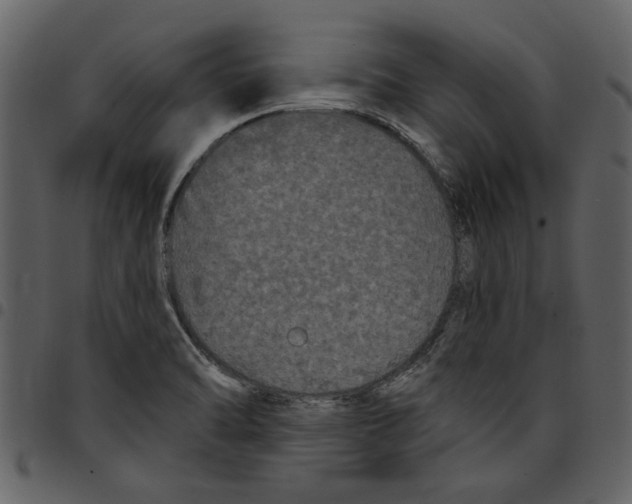 X0000097511470200803201604