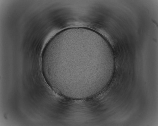 X0000097511472200803201604
