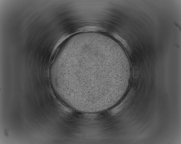 X0000097511473200803201604