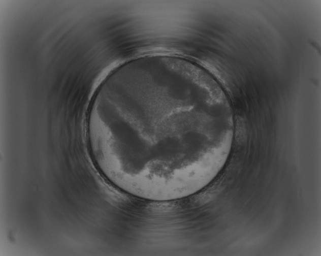 X0000097511474200803201604