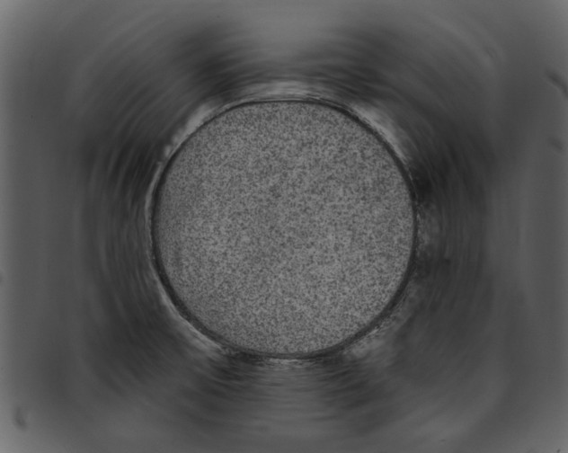 X0000097511475200803201604