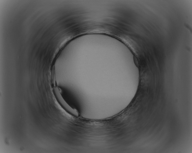 X0000097511476200803201604