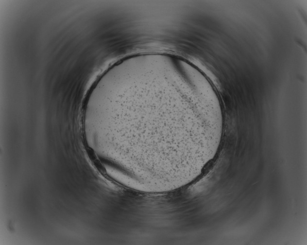 X0000097511477200803201604
