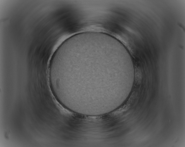 X0000097511478200803201604