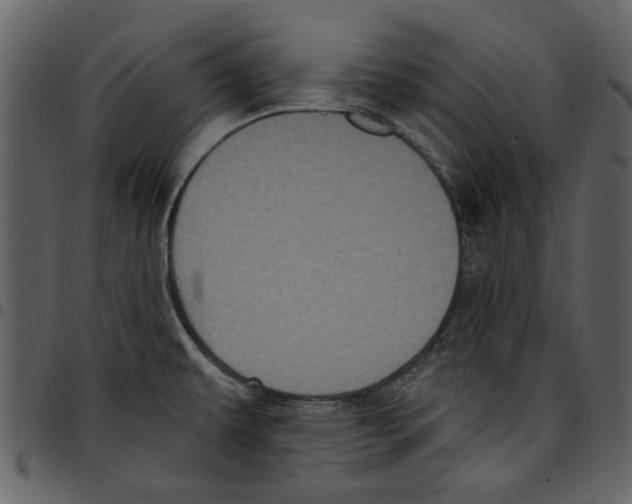 X0000097511479200803201604