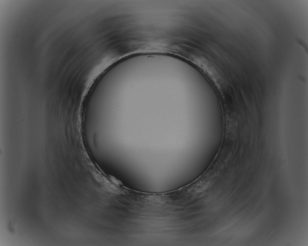 X0000097511480200803201604