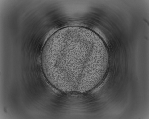 X0000097511481200803201604