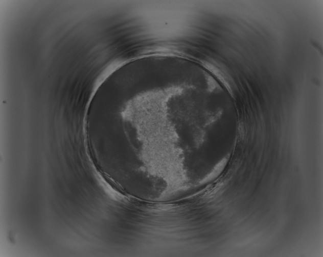 X0000097511482200803201604