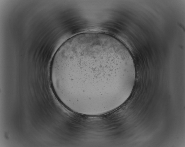 X0000097511483200803201604