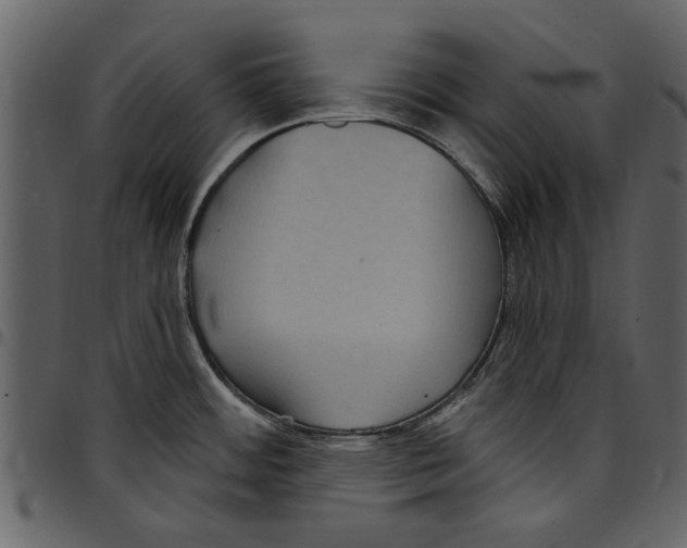 X0000097511484200803201604