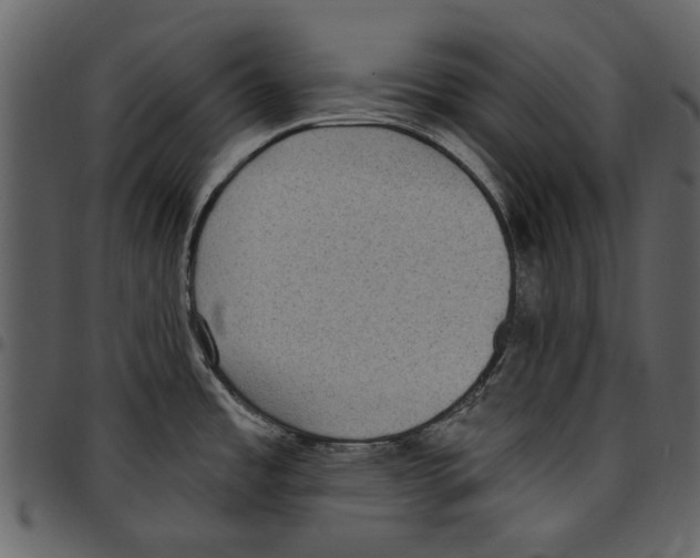 X0000097511485200803201604