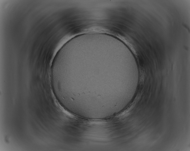 X0000097511486200803201604